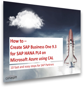 SAP Business One 9.3