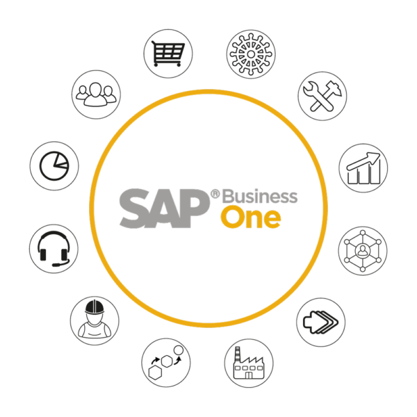 SAP Business One Stufe 1
