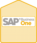 SAP Business One Server