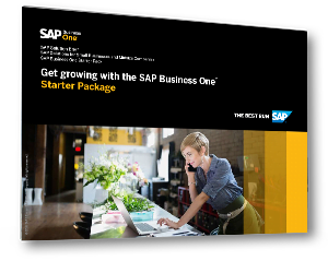 SAP Business One Starter Package