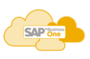 SAP Business One in der Cloud