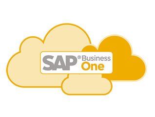 SAP Business One Cloud

03. March 2021
By Roman Douverne - SAP Business Intelligence / Business One Consultant 
SAP Business One can be operated in the cloud or on an on-premise server.
